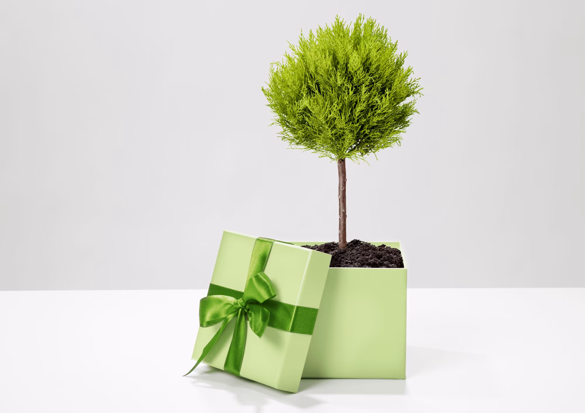 Gourde Made in Europe - Écologique &amp; Pratique